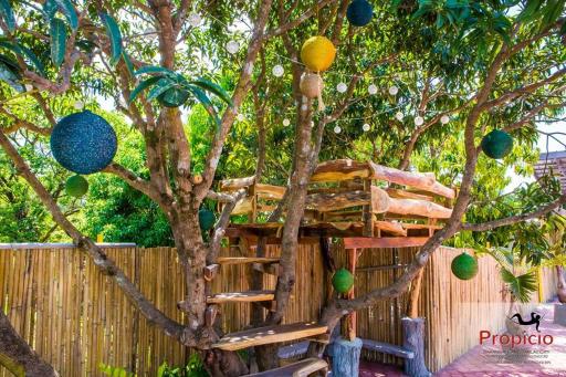 Propicio Hotel and Resort - Housity