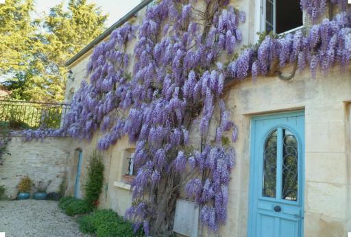 La Guerandelle - Housity