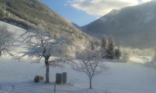 Beachfront · Private Beach LunzFerien - Housity