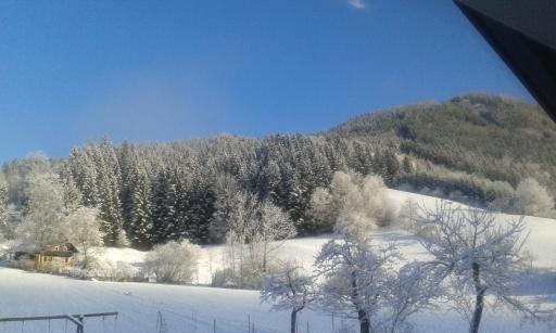 Beachfront · Private Beach LunzFerien - Housity