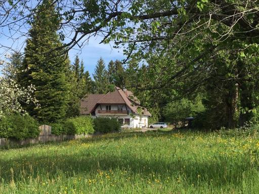 B & B Der Waldvogel - Housity