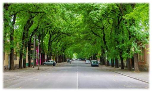 Bed&Breakfast INTERMEZZO CAFFE - Housity