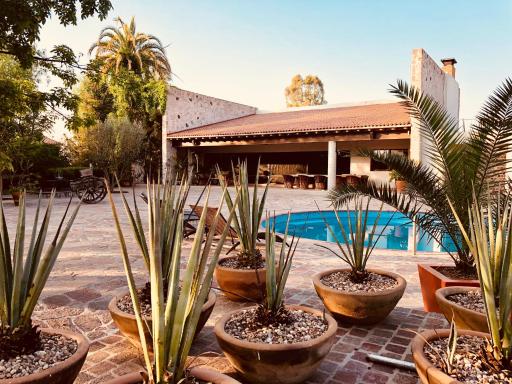 María & Bernardo Casa - Viñedo - Housity