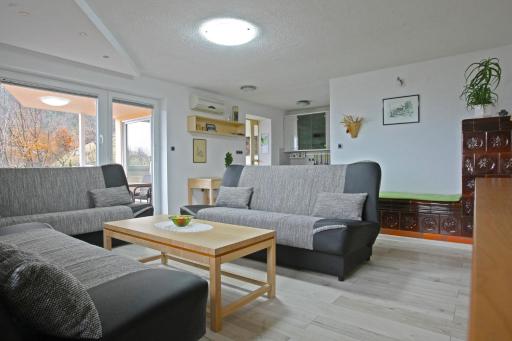 Apartma Metka Leše Tržič - Housity