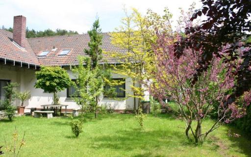 Pension Haus zum Schlehenberg - Housity