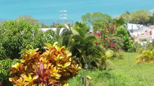B&B Plage Des Raisiniers - Housity