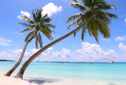 Villa Emmanuel 1BHk Holiday Homes - Housity