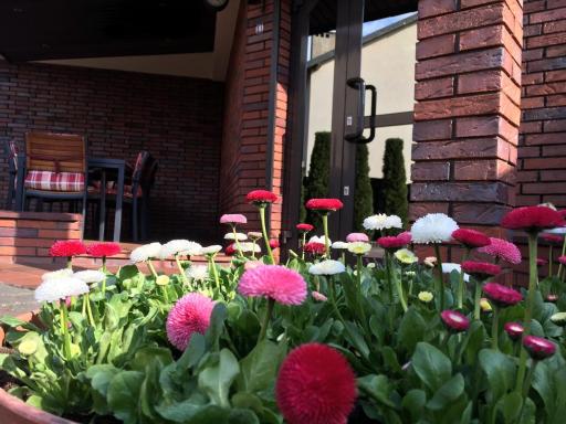 Apartamenty AP 21 - Housity