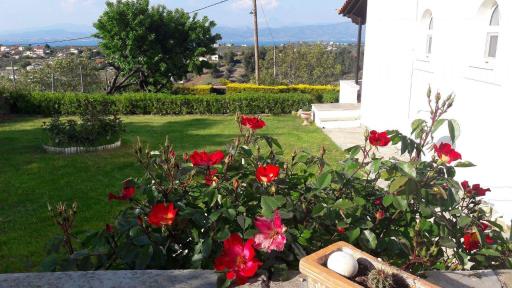 Adams Studio in Oropos - Housity
