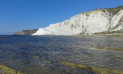 Bluoltremare - Housity