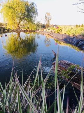 Apartament u Beti - Housity