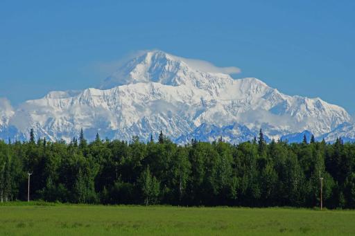McKinley View B&B - Housity