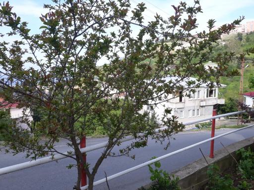Akcaabat Village House - Housity