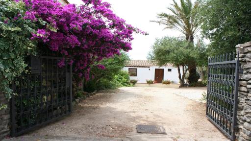 Corniola House - Housity