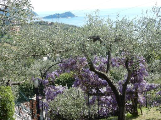 villa vista mare - Housity