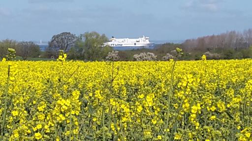 Am Pool und Strand 8 - Housity