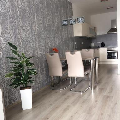 Apartmán Třeboň č. 1 - Housity