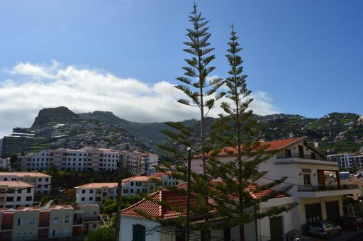 Apartment in Câmara de Lobos - Housity