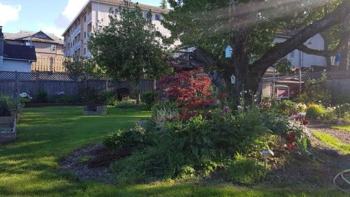 Campbell Cottage B&B - Housity