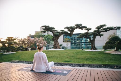 The Anandi Hotel and SPA - Luxury Healing Hotel for Wellbeing - Housity