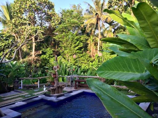 Kerta Family Bed and Breakfast - Housity