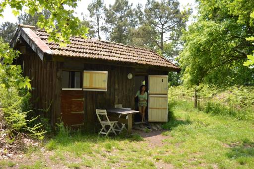 Cabane en forêt - Housity