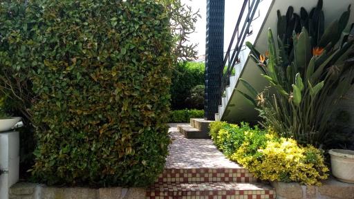 Celanus Quinta das Pedras I Francelos - Housity