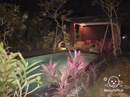 Mahesa Villa - Housity