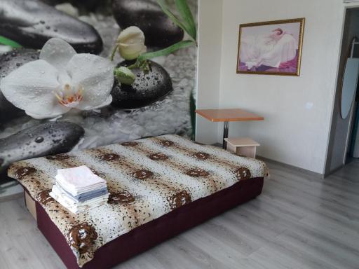 Apartment on Polotskaya 10 - Housity