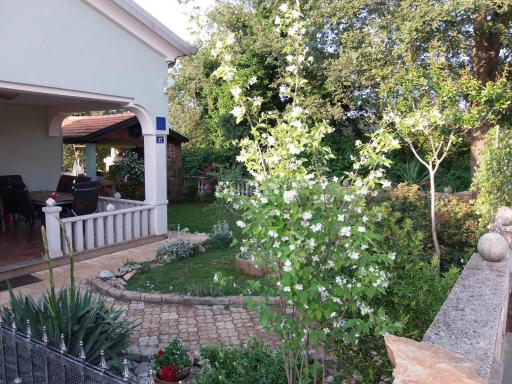 Apartment Cajt - Housity