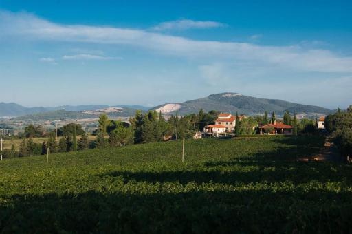 Agriturismo Diaccialone - Housity