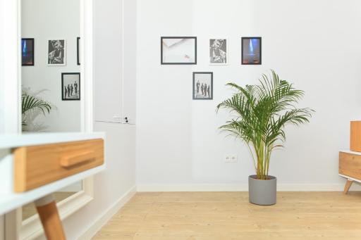 Apartment by the Castle - top spot in Szczecin - Housity