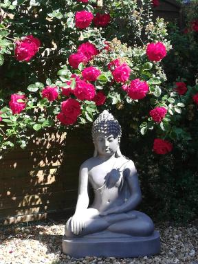 Studio Climatisé & Appartement Zen de Beauval- 800 m du Zooparc - Housity