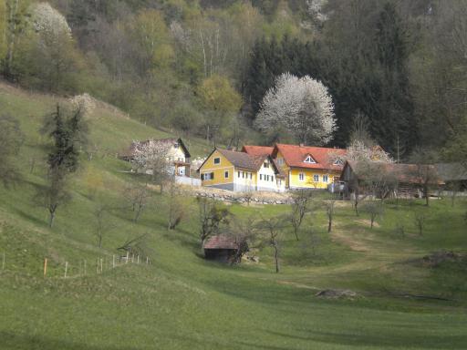 Buchschneider - Ferienhaus Maier - Landhof - Housity