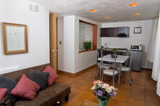 Suite 4A, Terraza, Garden House, Welcome to San Angel - Housity