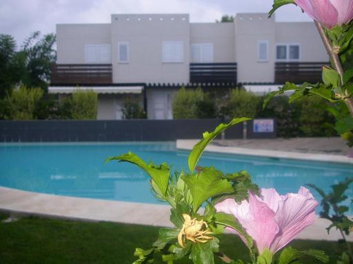 House Beach Las Palmeiras - Housity