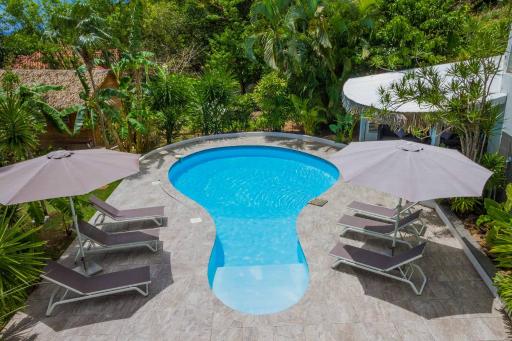 Carre Royal - Housity