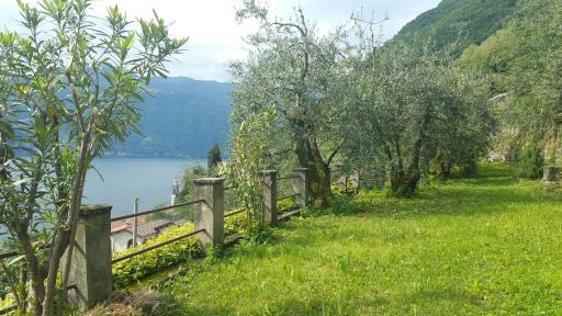 Gli Ulivi di Nesso - Housity