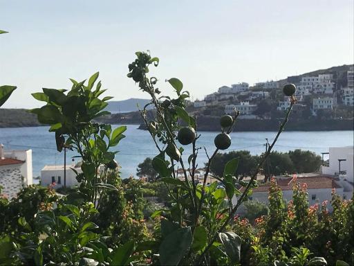 Elina Apartments - Housity