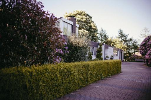 An der Kastanie - Housity