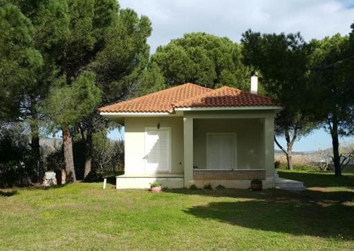 Villa Sunny Day - Housity