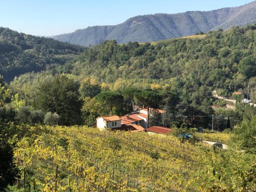 Il Poggiolo ai Casini - Housity