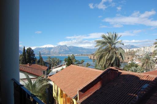 Villa Tulipan - Housity