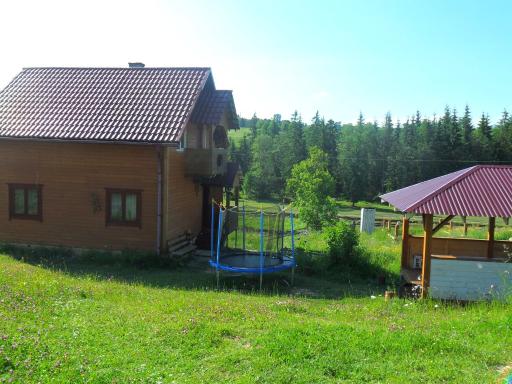 Lisovychok - Housity