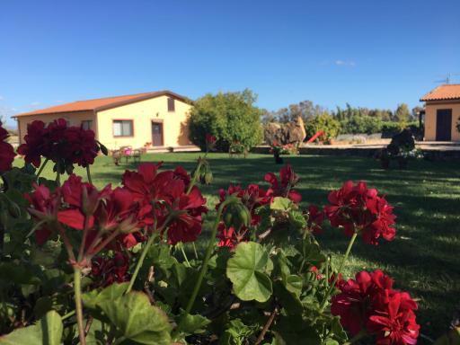 Agriturismo Sechi - Housity