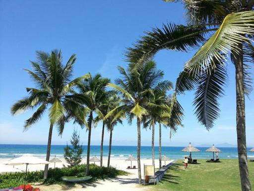 Luxury Apartment - Housity