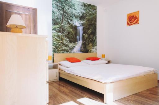 Vila Renáta - Apartmán Renáta 12 - Housity