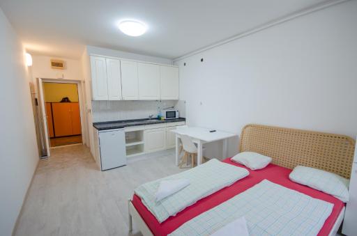 Apartment Tržaška with free parking - Housity