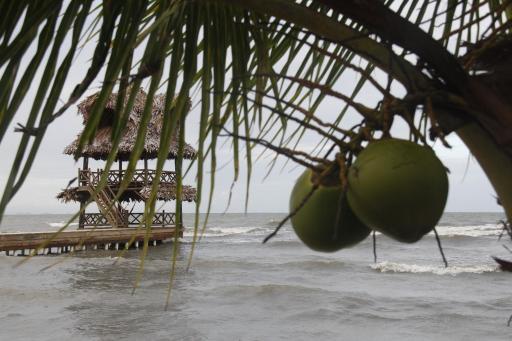 Hotel Salvador Gaviota - Housity