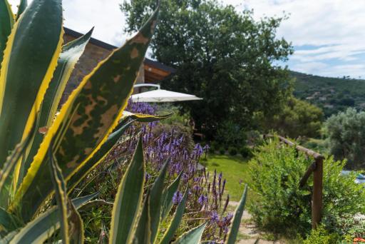 Casa brillocco Castellabate - Housity